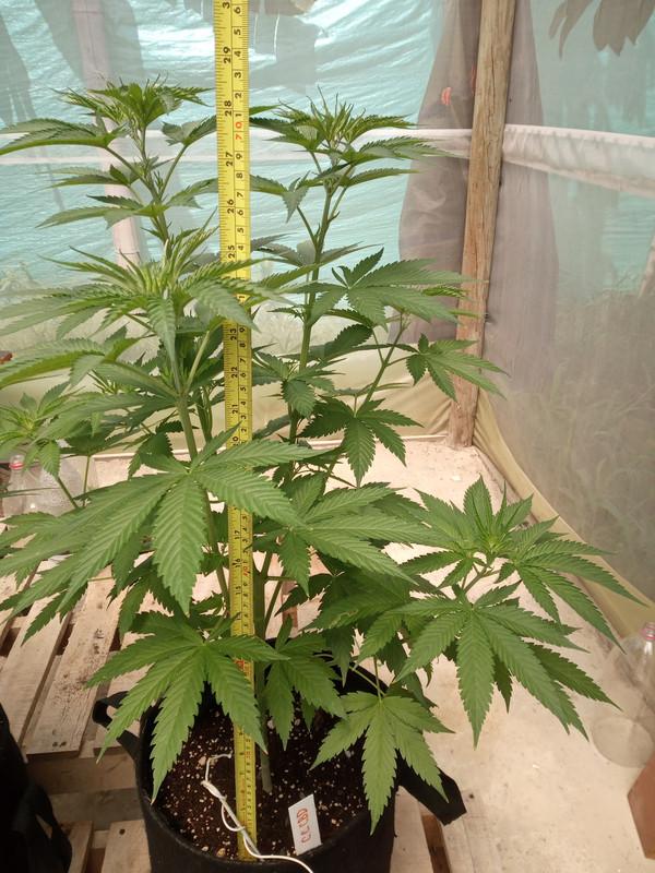 IMG_20230429_132449_827