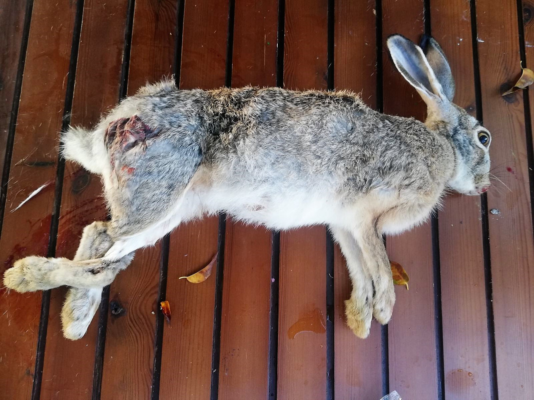 2019-10-02-1.jpg
