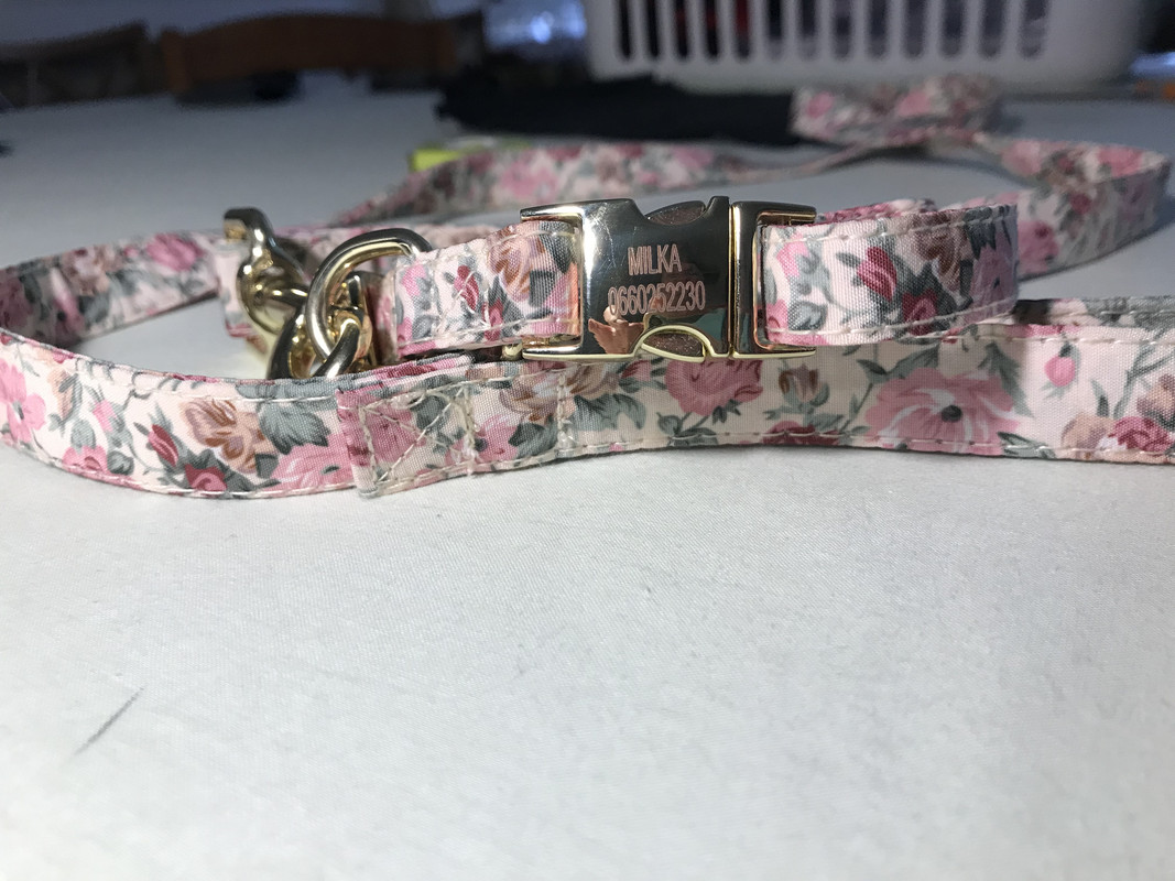 [Image: C07-FC320-244-C-4-E19-A65-F-16529975-AC84.jpg]