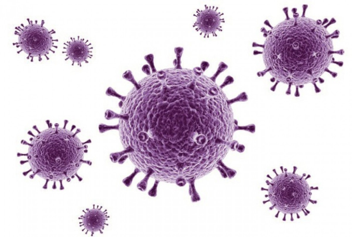 El virus de la influenza sería la próxima pandemia, advierte la OPS