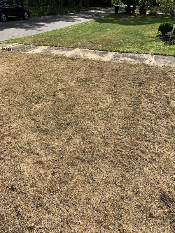 83ED368B-5DE0-49AF-A050-07A666FBAD9E