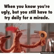 ugly-muppets.gif