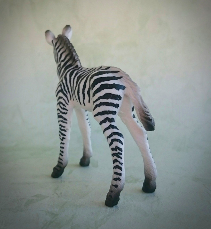 Mojo 2020 - Zebra and foal 20200627-132336