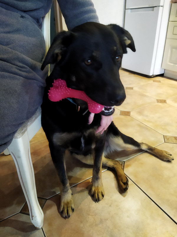 изображение_viber_2022-04-05_12-48-46-822