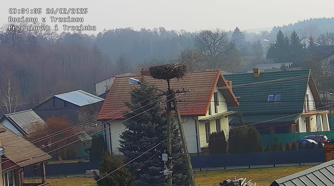 26022025ostatniechwilezestarymgniazdem