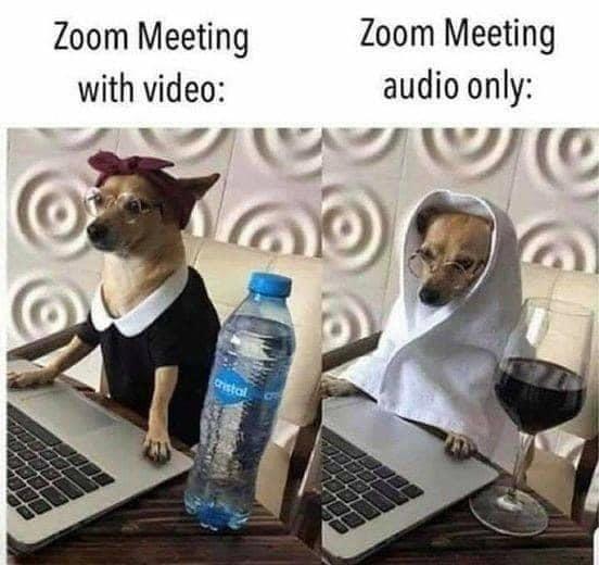 zoom2.jpg