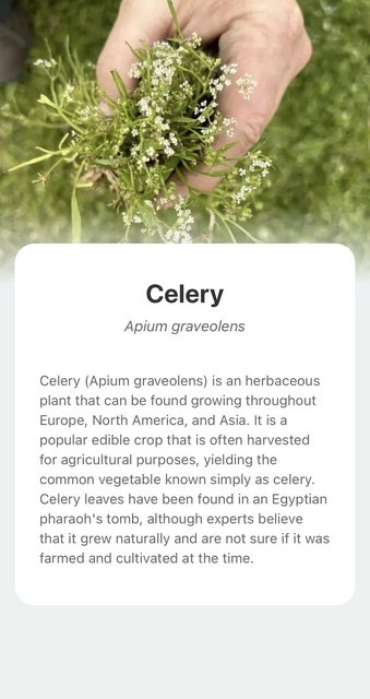 89915F75-9870-4C75-8BDB-4A7734F8ECAE