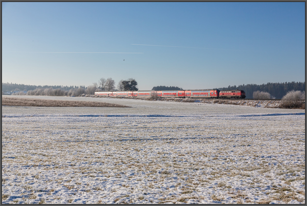 20241229-_M7A4282