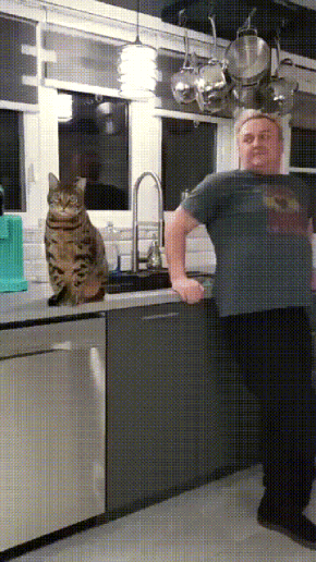 90.gif