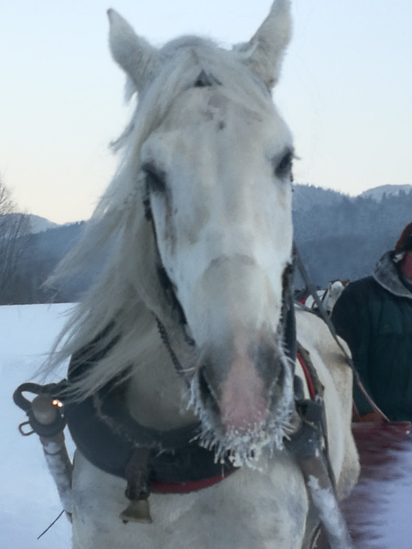 16.24 - IMG_20170107_154233 (Maciek)