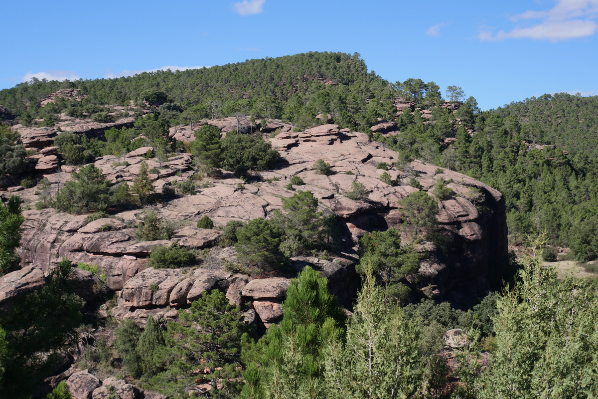 F4222C2F-1C2D-44D8-B729-231956D80A81