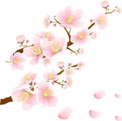 AfN9Sh8YgmFCYdp_DsnqOCTIftA@400x398     240