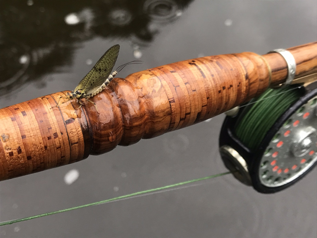 B817CA8A-A501-49FB-AE8A-AA68283351D2