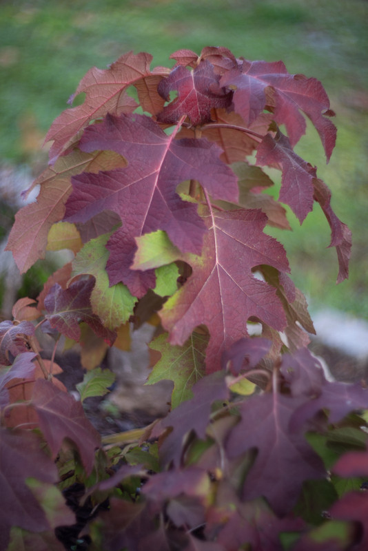 IMG-7cb3a11de98bc637014c4c7fcf930425-V
