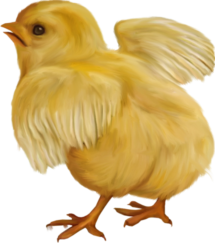 0_1c118e_4cb1af89_orig