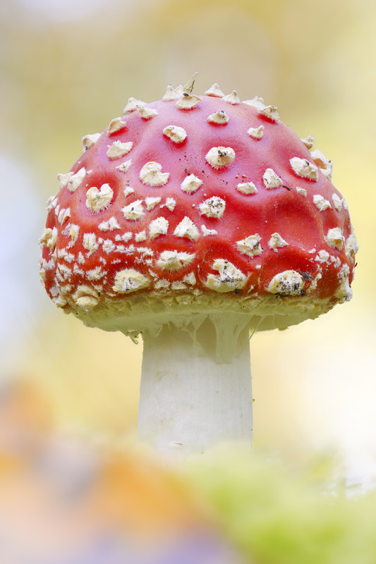 2024-10-26 17-26-50 (A,R8,S4)-2