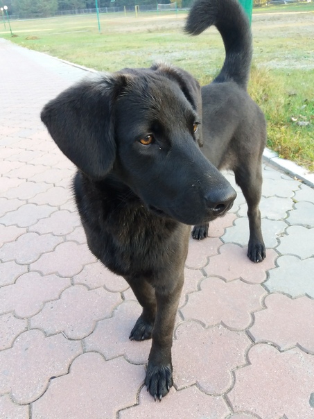 B4F7459F-C762-47A3-9D62-21AADBEABE82