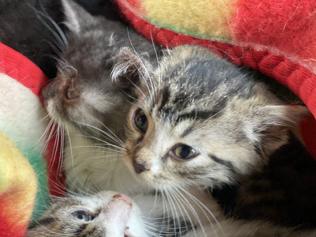 F8A3CA8E-E9A1-4C54-A966-CD18C4734DC1