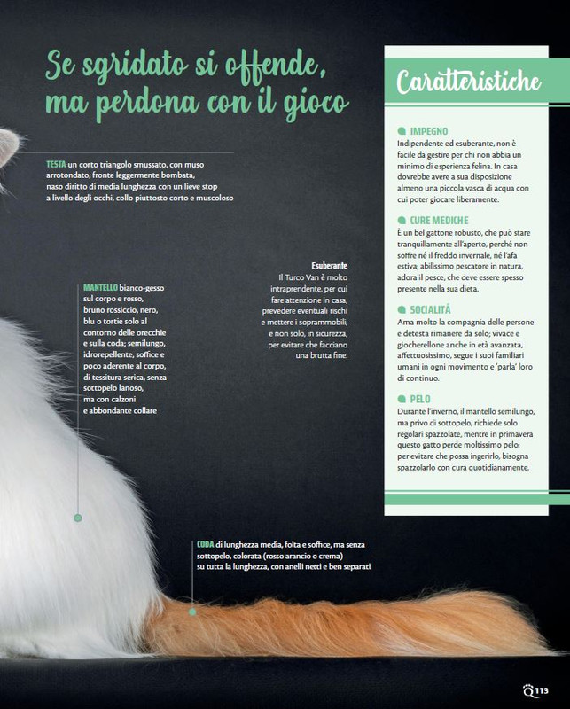 QuattroZampe Mag 2022 (10)