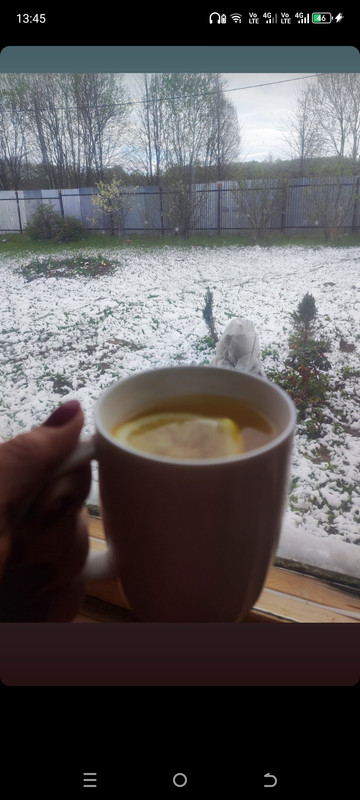 Screenshot_20250502-134511