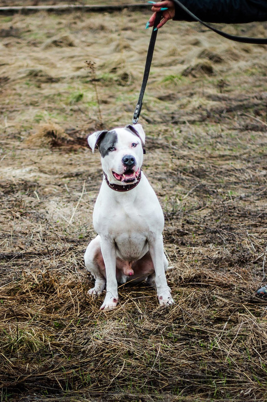 без имени-1081