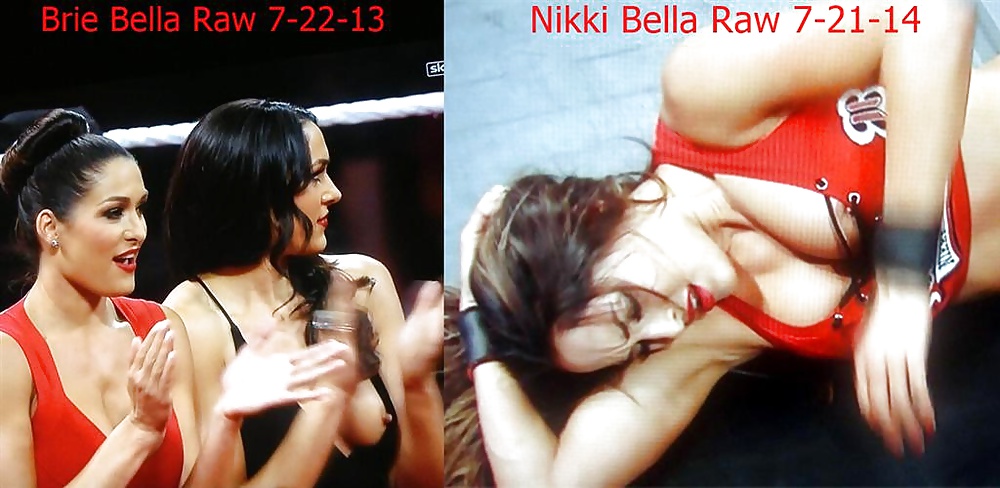 Bella twins (Nikki & Brie Bella.