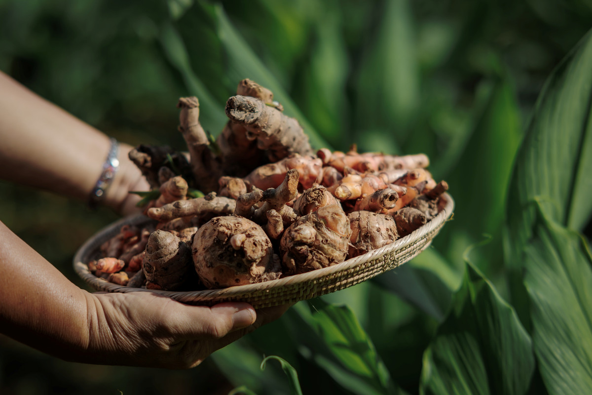 ผลิตภัณฑ์สมุนไพร วิสาหกิจชุมชนบ้านเขานาใน (6)