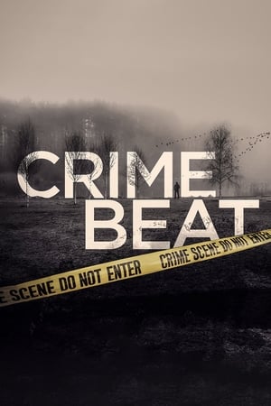 Crime Beat S04E12 WEBRip x264-TORRENTGALAXY
