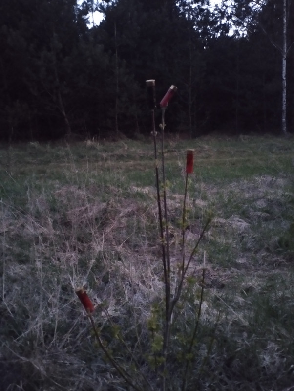 IMG 20260501 212903