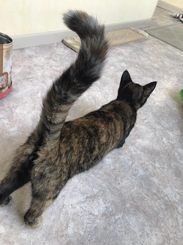 FB3EBED7-C798-419C-A8EF-1FC126662F01