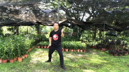 Tai Chi Chen Style for Beginner   Strengthens Mind and Body