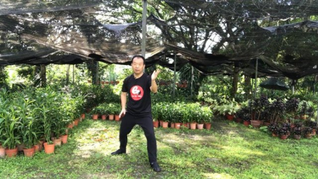 Tai Chi Chen Style for Beginner - Strengthens Mind and Body