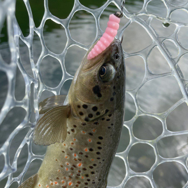 Junior FreshLures Trout fishing lures Maggot size 1.2inch Junior Original Fresh Lures, trout fishing lures, trout fishing lures plastic,