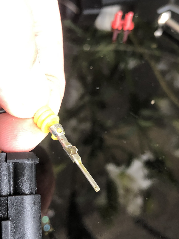 CC6CB407-4736-4BF5-91A7-E018D7D0B5EE