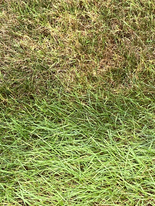 C4970817-7AF0-44C5-9F77-9E03A44EBA7D