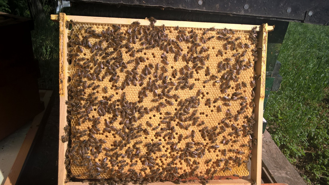 WP_20180505_15_41_53_Pro (1)