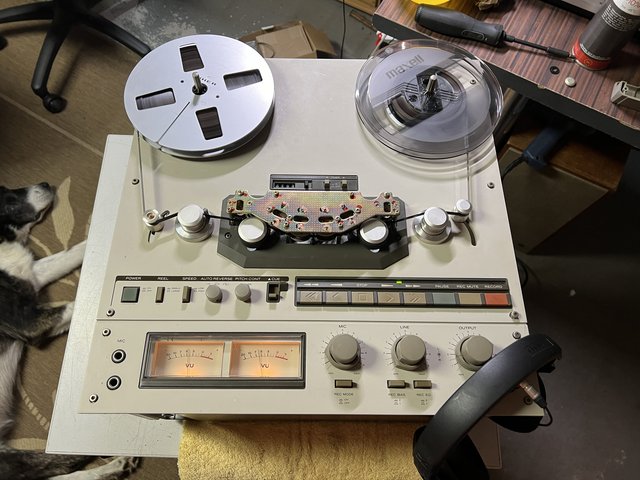 Foto 25.08.24, 10 10 52