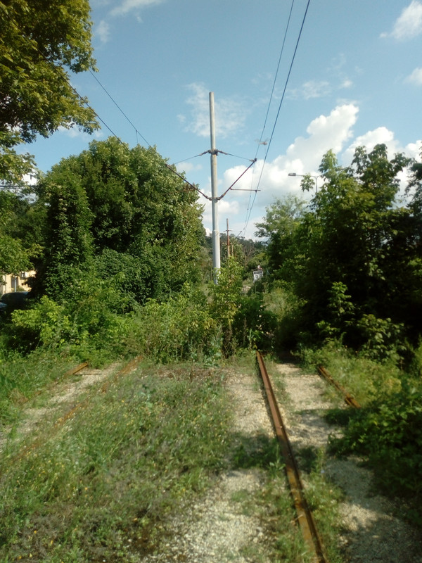 IMG-20190714-160723.jpg