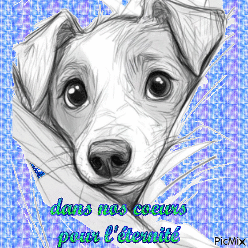 rintintin