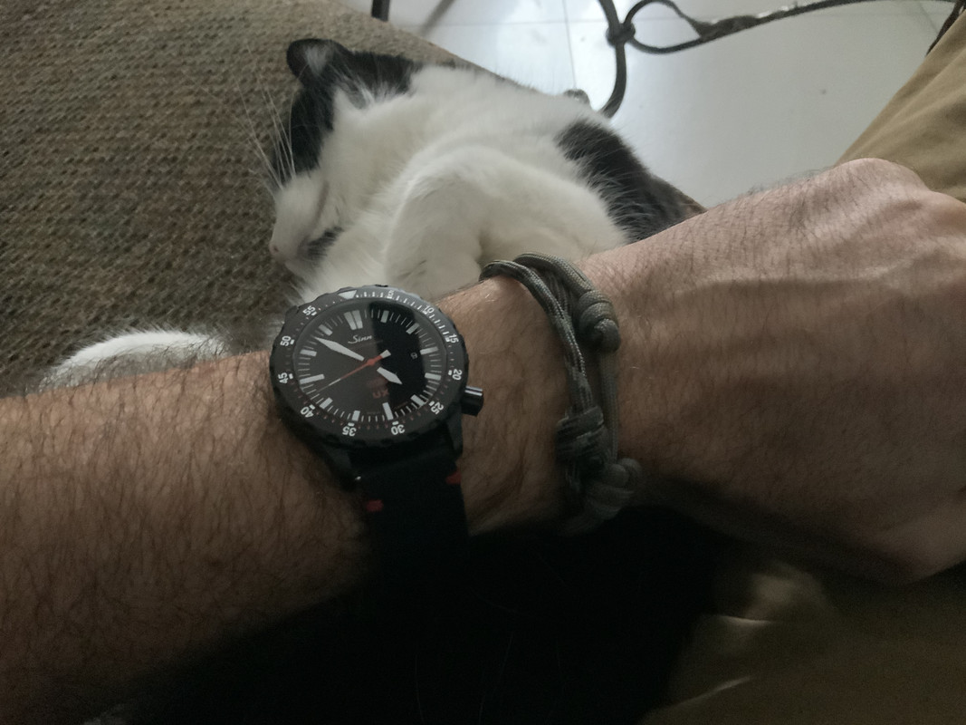 672CA19F-AF85-47E0-A774-739EEF8F96A2