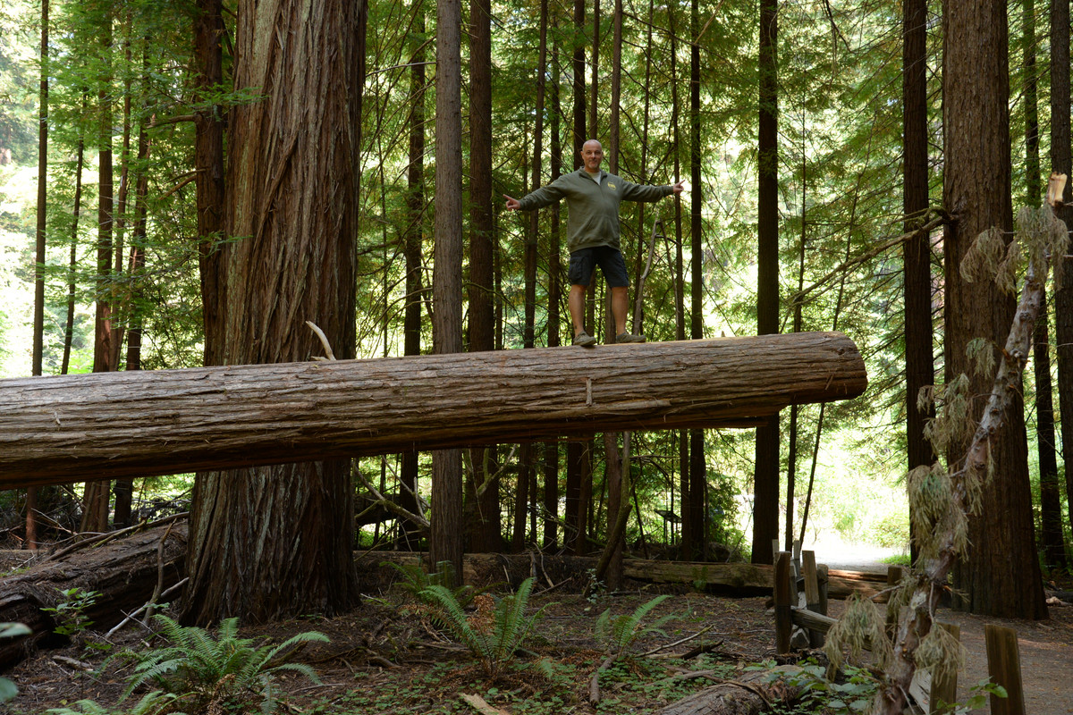 Árboles gigantes, fuegos y volcanes extintos - Oregon y California norte (2018) - Blogs de USA - Rogue River y costa norte de California (36)