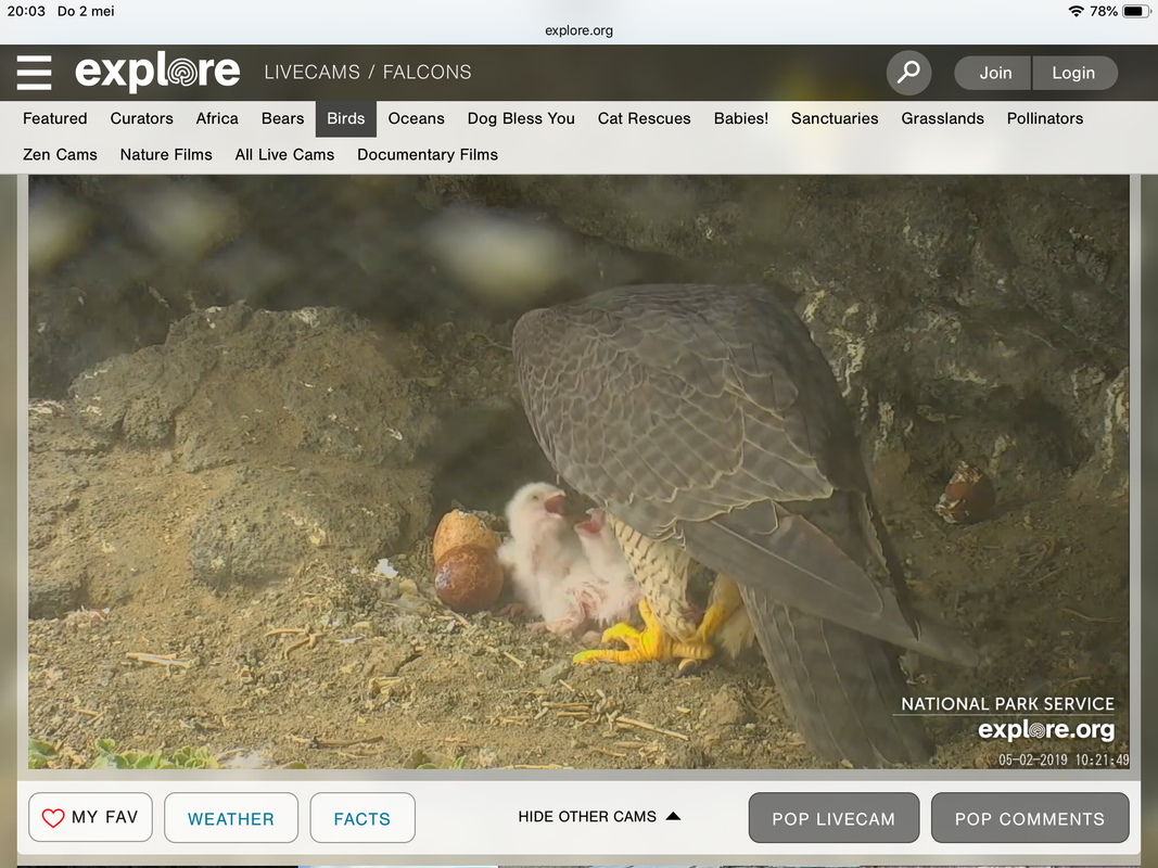 11E8819F-7E5D-4520-BA49-56493490CD6C