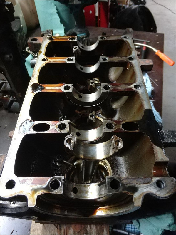 IMG_20171214_105428 (Large)