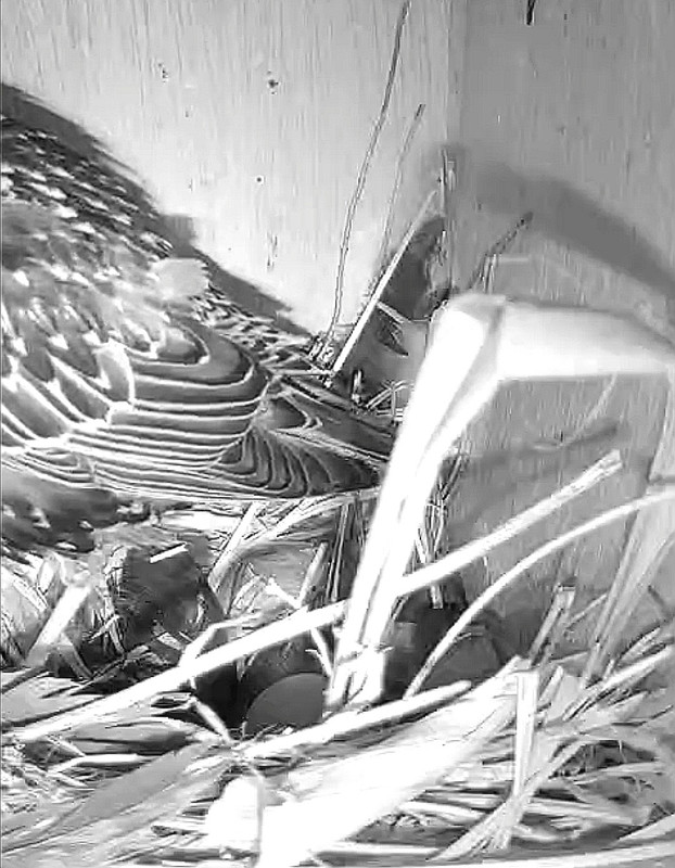 Screenshot 20260403 073049