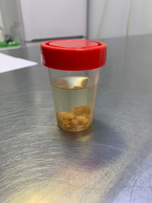 6F67D0FA-AF05-486C-AFD5-8A8845E95482