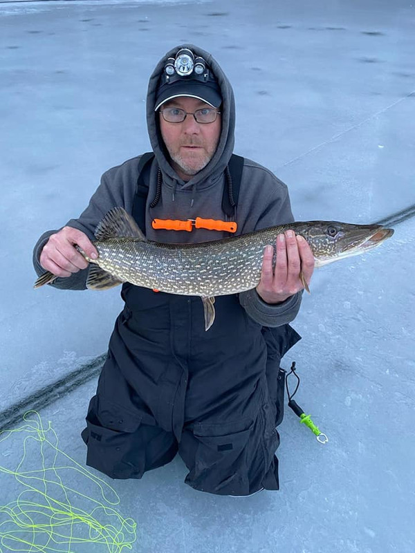 pike1229a