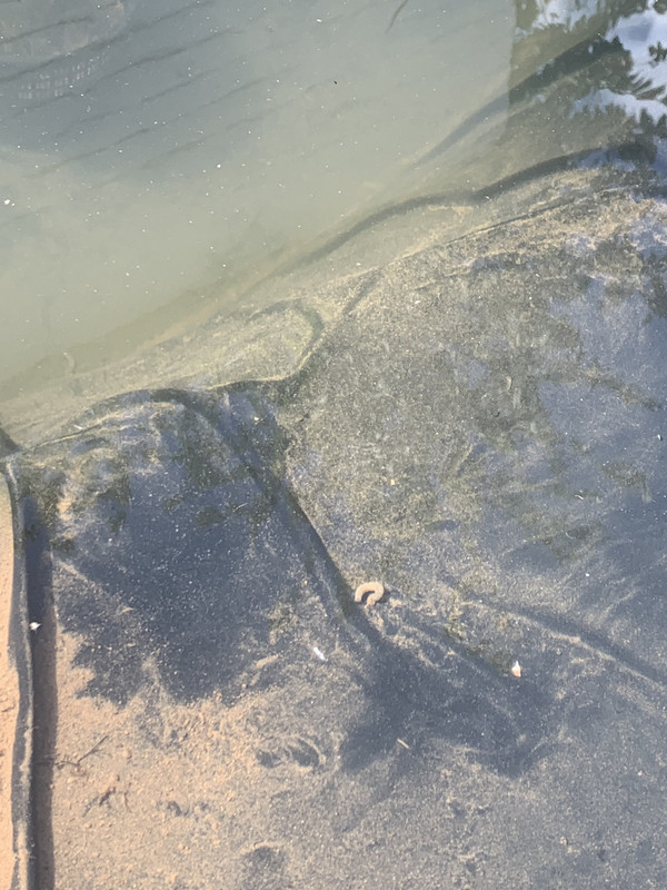 D762F30E-6B63-4E05-B60E-984C361838E6