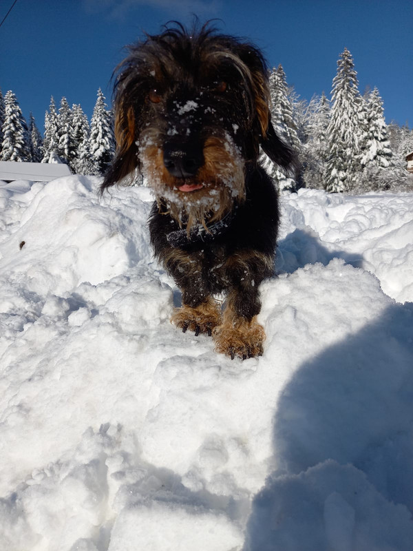 [Image: IMG-20210104-WA0000.jpg]