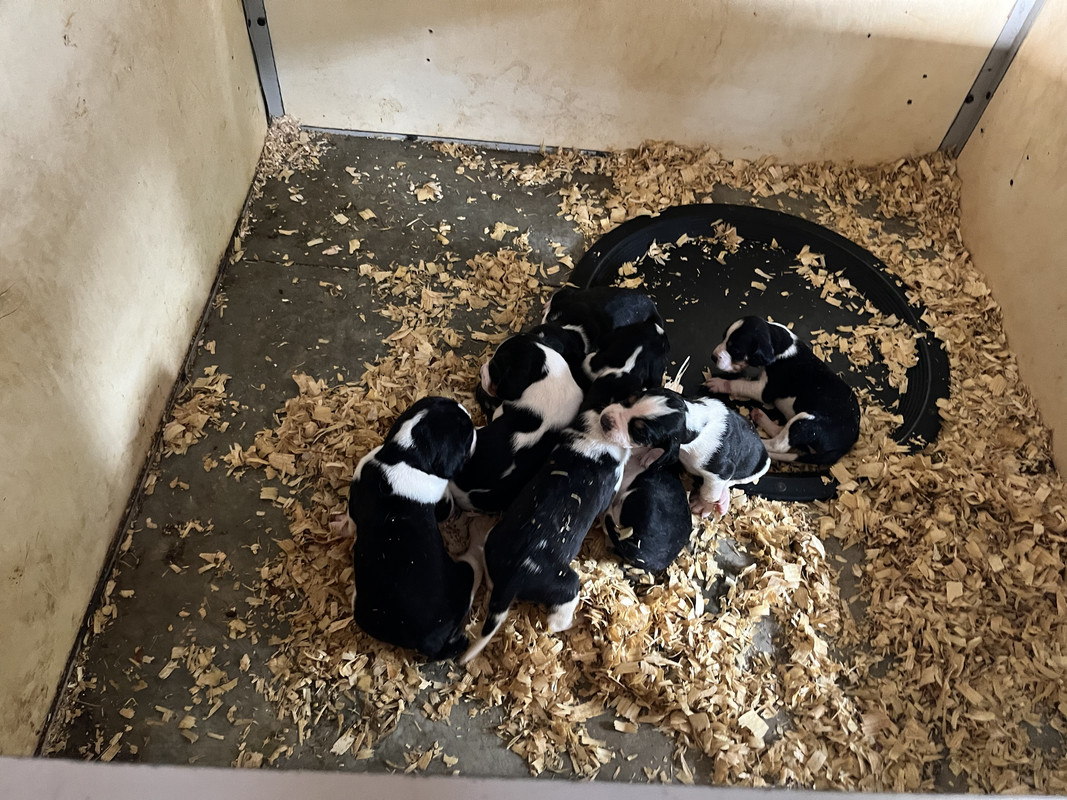 592F1549-575B-4721-B889-F4D6F9C8FA08