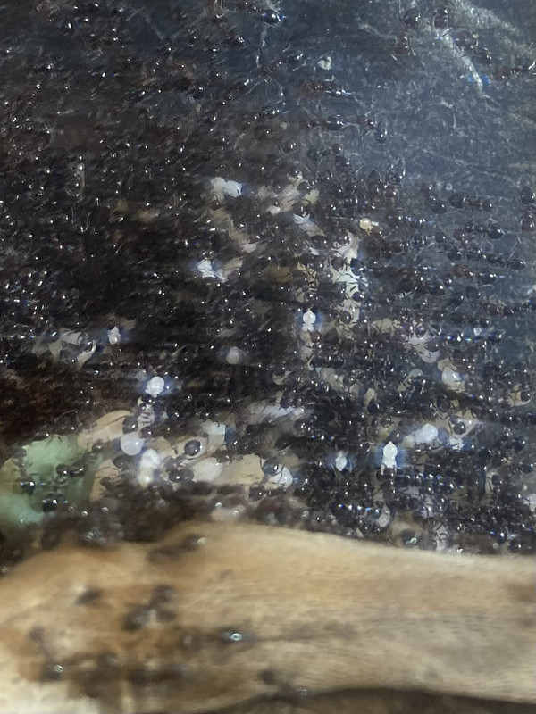 9DFEFB60-767A-46B6-A226-DA8BF7970C88